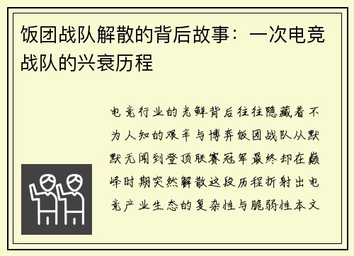 饭团战队解散的背后故事：一次电竞战队的兴衰历程